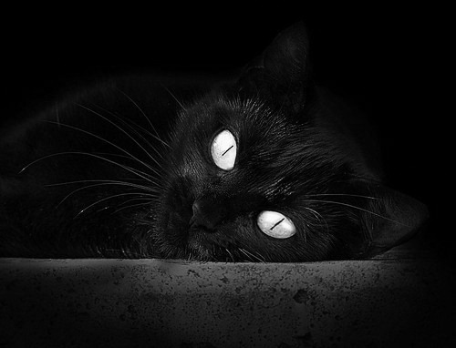 跨界奇迹,尼日利亚正面击溃佛罗伦萨,莫德里奇关键先生引领足球新篇章