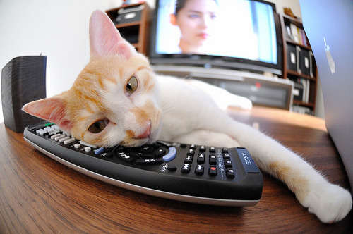 开云体育中国-当凤凰城的火焰点燃珠江，德文·布克献给世界的跨洋篮球教学