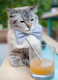 防守的哲学，当德里赫特成为破坏即创造的艺术大师