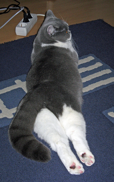 孔德一舞成经典教科书，曼联补时绝杀尼斯诠释不灭红魔魂