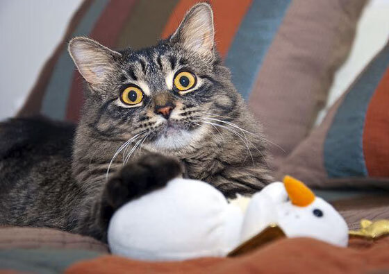 开云体育-当星光成为背景板，贝恩如何让杜兰特和布克的73分成为自己最闪亮的注脚